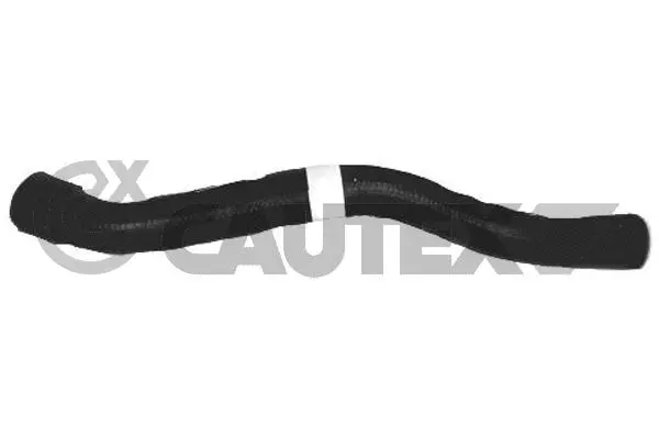Radiator Hose (486082)