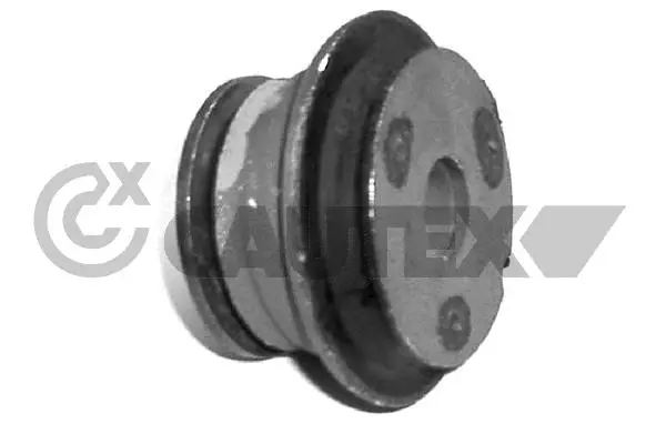 Bushing, axle beam (010760)