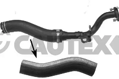 Radiator Hose (774702)