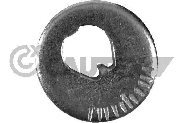Caster Shim, axle beam (758538)