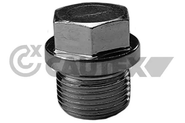 Screw Plug, oil sump (756783)