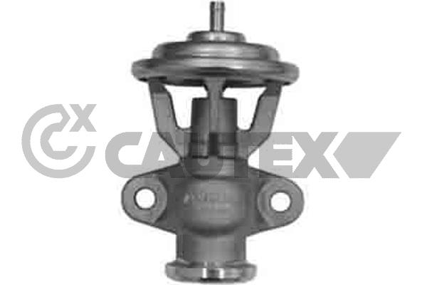 EGR Valve (770394)