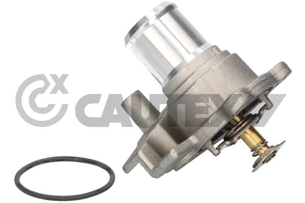 Thermostat, coolant (756911)