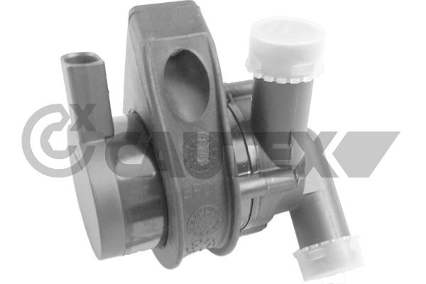 Auxiliary Water Pump (cooling water circuit) (761621)
