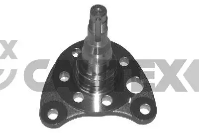 Wheel Hub (461008)
