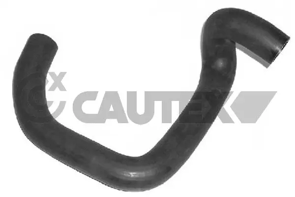 Radiator Hose (036380)