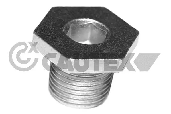 Screw Plug, oil sump (952001)