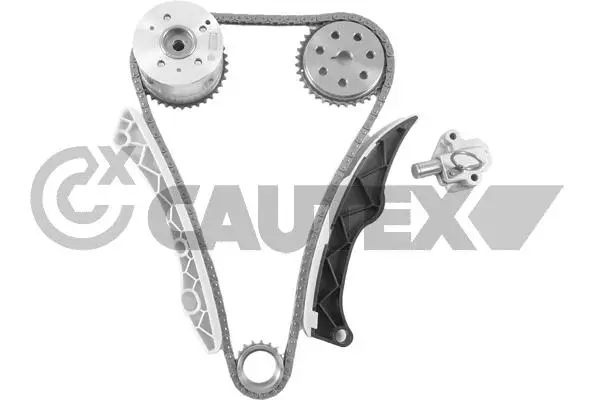 Timing Chain Kit (772248)