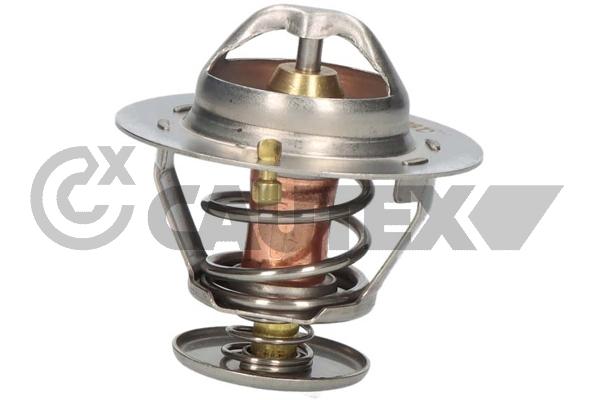 Thermostat, coolant (770192)