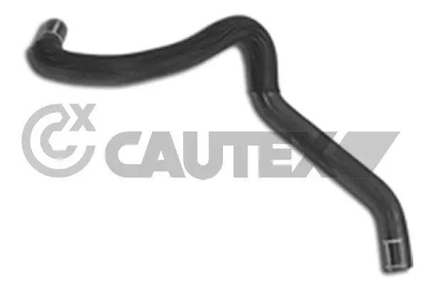 Radiator Hose (031348)