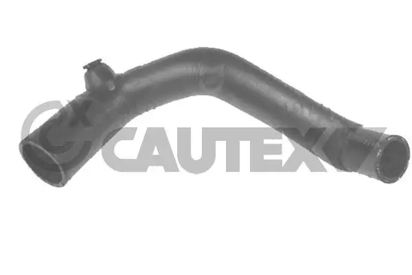 Radiator Hose (026329)
