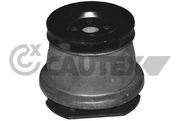 Bushing, axle beam (755400)
