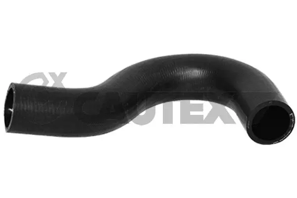 Radiator Hose (753681)
