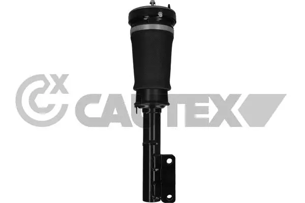 Air Suspension Strut (751959)