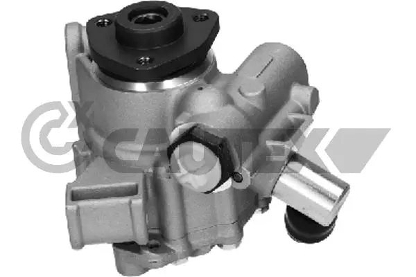Hydraulic Pump, steering (768330)