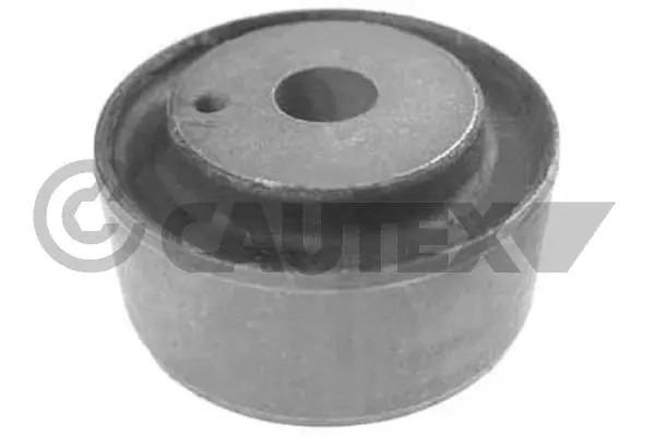 Mounting, transfer case (181003)