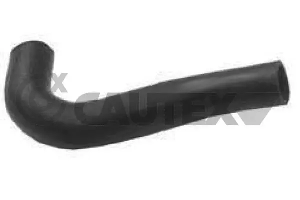 Radiator Hose (016300)