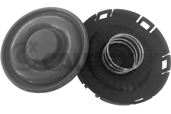 Membrane, crankcase ventilation (752655)