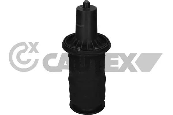 Air Spring, suspension (753462)