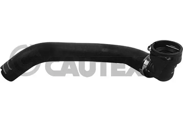 Radiator Hose (753702)