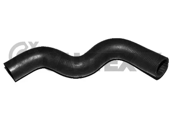Radiator Hose (036388)