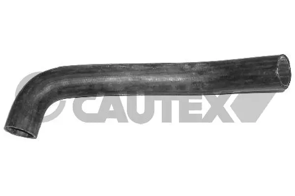Radiator Hose (036151)