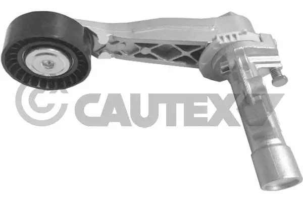 Repair Kit, v-ribbed belt tensioner (769708)