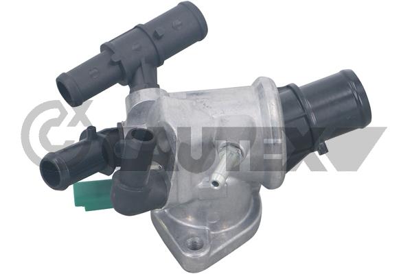 Thermostat, coolant (750788)