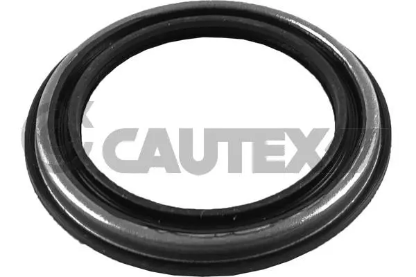 Shaft Seal, wheel hub (758577)