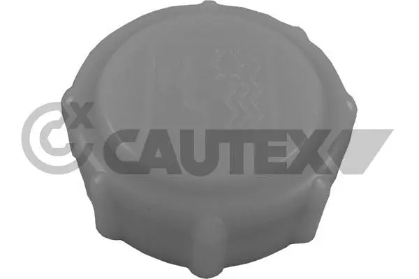 Cap, coolant tank (766547)