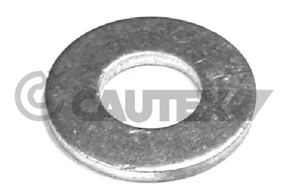 Seal Ring, oil drain plug (954176)