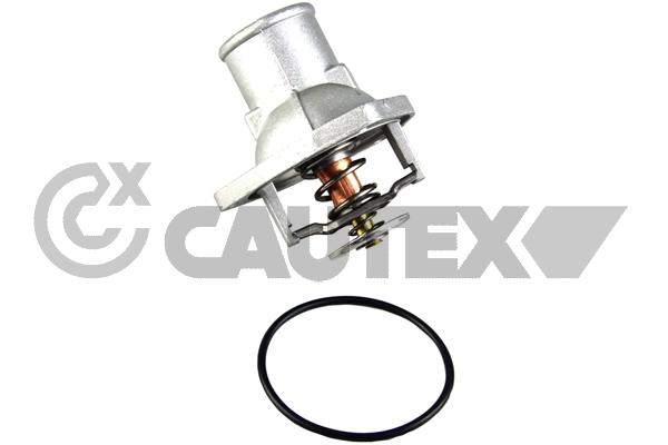 Thermostat, coolant (772161)