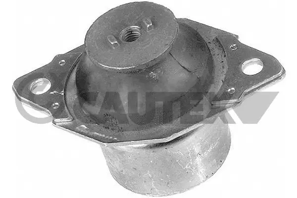 Mounting, engine (460033)