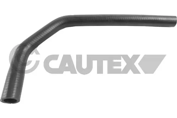 Radiator Hose (036740)