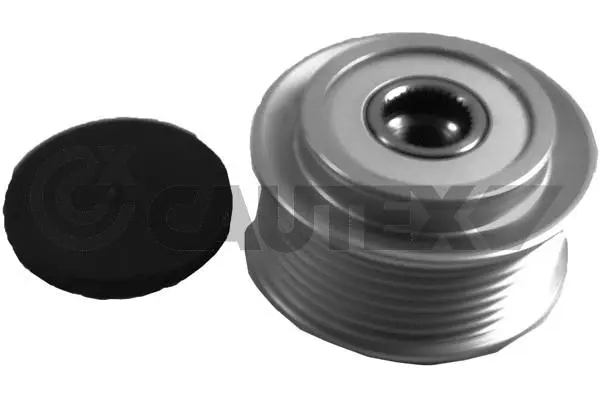 Alternator Freewheel Clutch (759773)