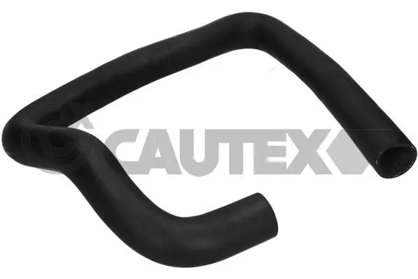 Radiator Hose (036142)