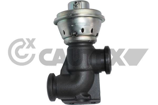 EGR Valve (770104)