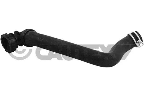 Radiator Hose (764687)