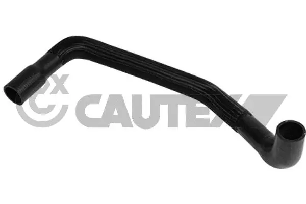 Radiator Hose (754081)