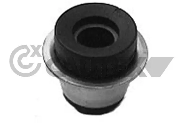 Mounting, control/trailing arm (010081)