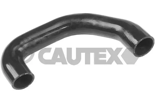 Radiator Hose (765436)