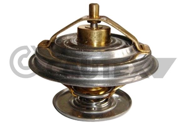 Thermostat, coolant (772146)