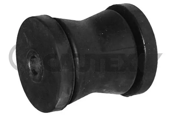 Bushing, axle beam (480016)