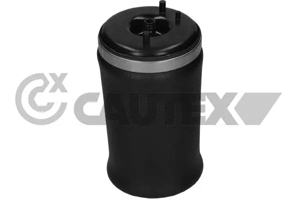 Air Spring, suspension (753246)