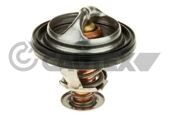 Thermostat, coolant (775906)