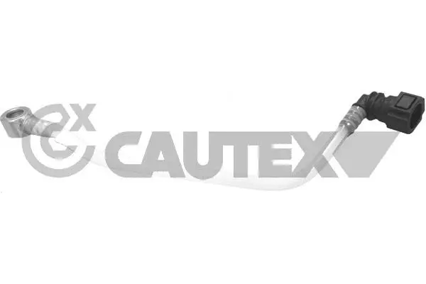 Fuel Line (757132)