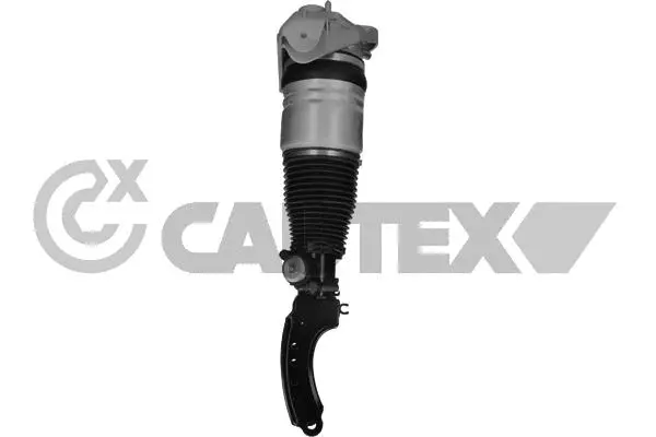 Air Suspension Strut (752016)