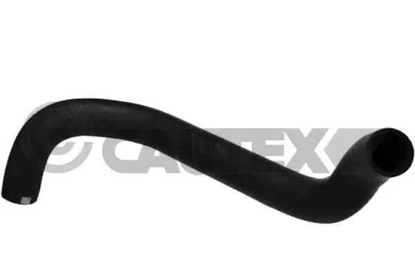 Radiator Hose (769919)
