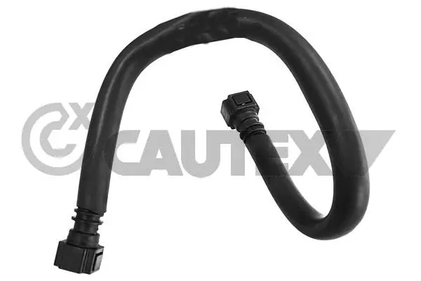 Fuel Line (771330)