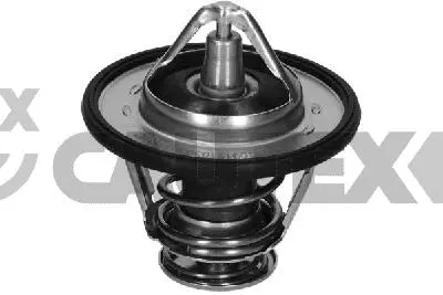 Thermostat, coolant (772648)